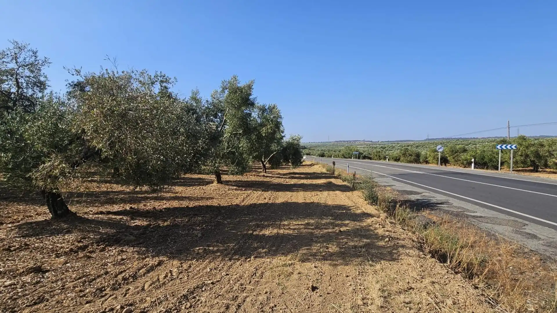 Terreno en venta en Gibraleón