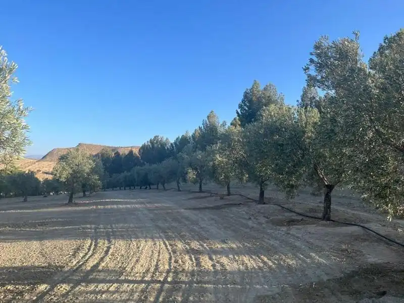 Casa rústica en venta en La Malahá, imagen 12