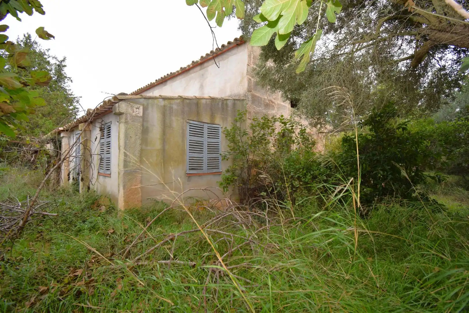 Landhaus mit Pool zum Verkauf in Muro, imagen 4