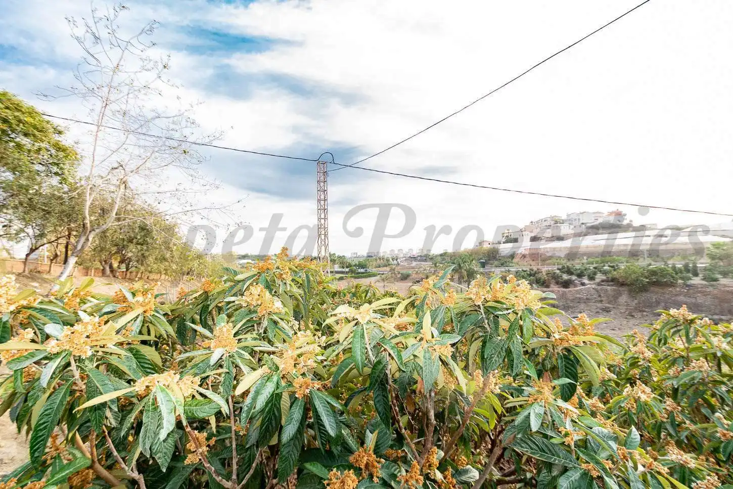 Maison à vendre à Torrox Pueblo, imagen 12