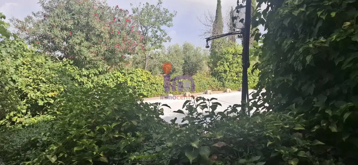 Jardí de Casa o xalet en venda en Valdepeñas amb Jardí privat i Piscina