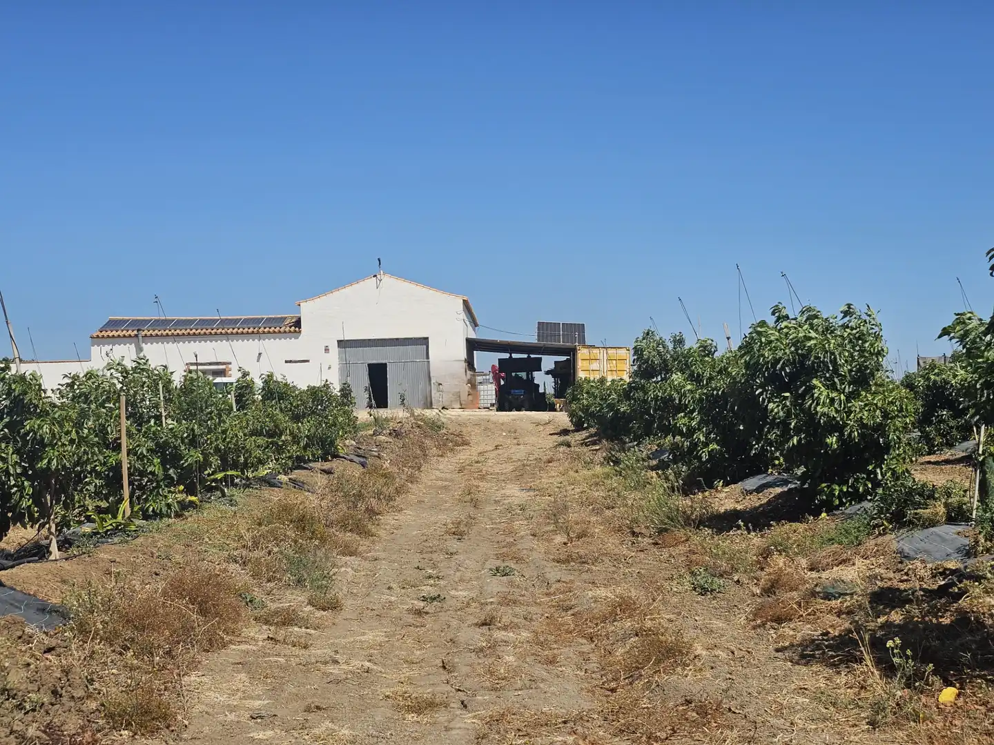 Terreno rustico in vendita a Benalup-Casas Viejas, imagen 10