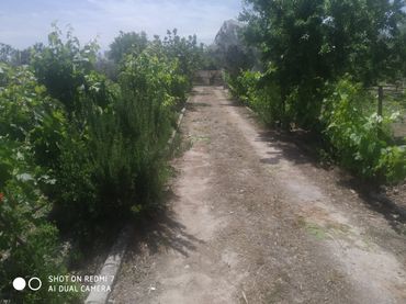 Xalet en venda a Lugar Cortijo Salomon