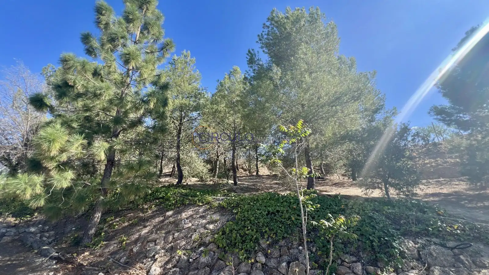 Casa o chalet en venta en Lorca con Trastero y Piscina