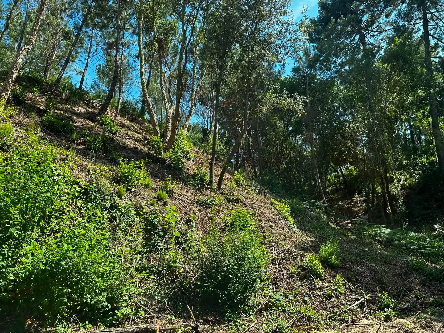 Terreno residencial en venta en Lloret Blau - La Creu de Lloret, imagen 10