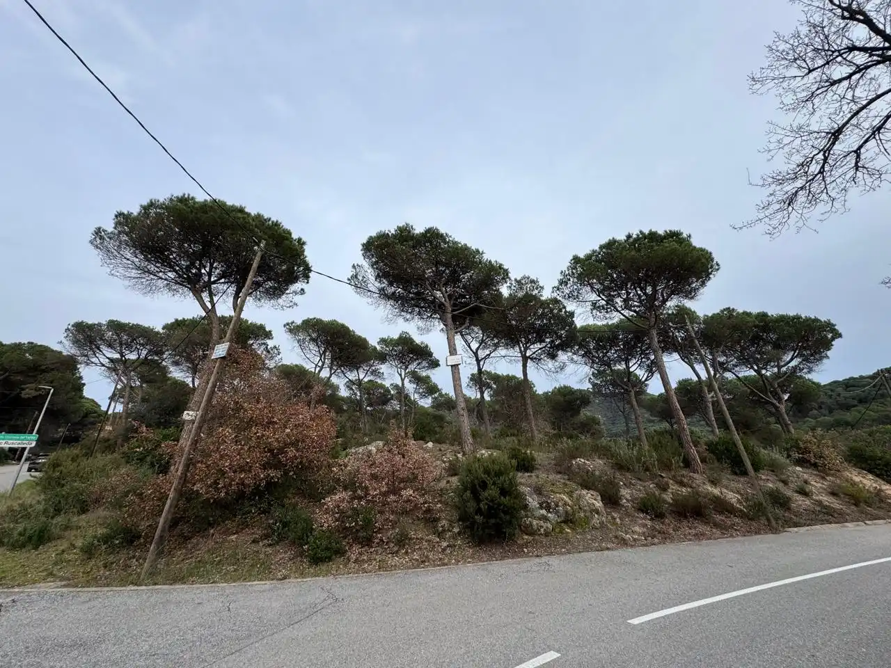 Terrenos y solares en venta en Carrer Vallès, imagen 5