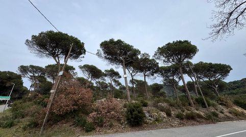 Solar edificable de 2.600mt en Vilanova del Vallés, imatge 5