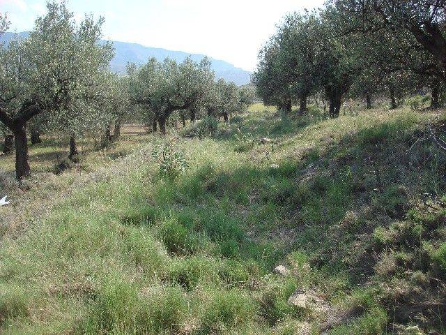 Terreno en Venta en Ribafrecha