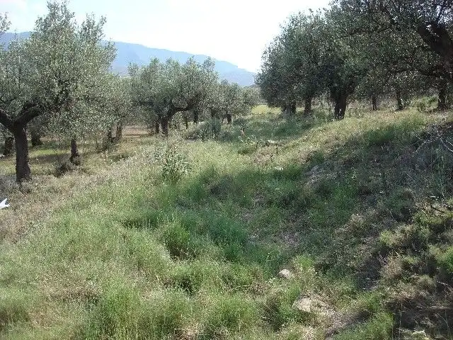 Terreno rústico en venta en Ribafrecha