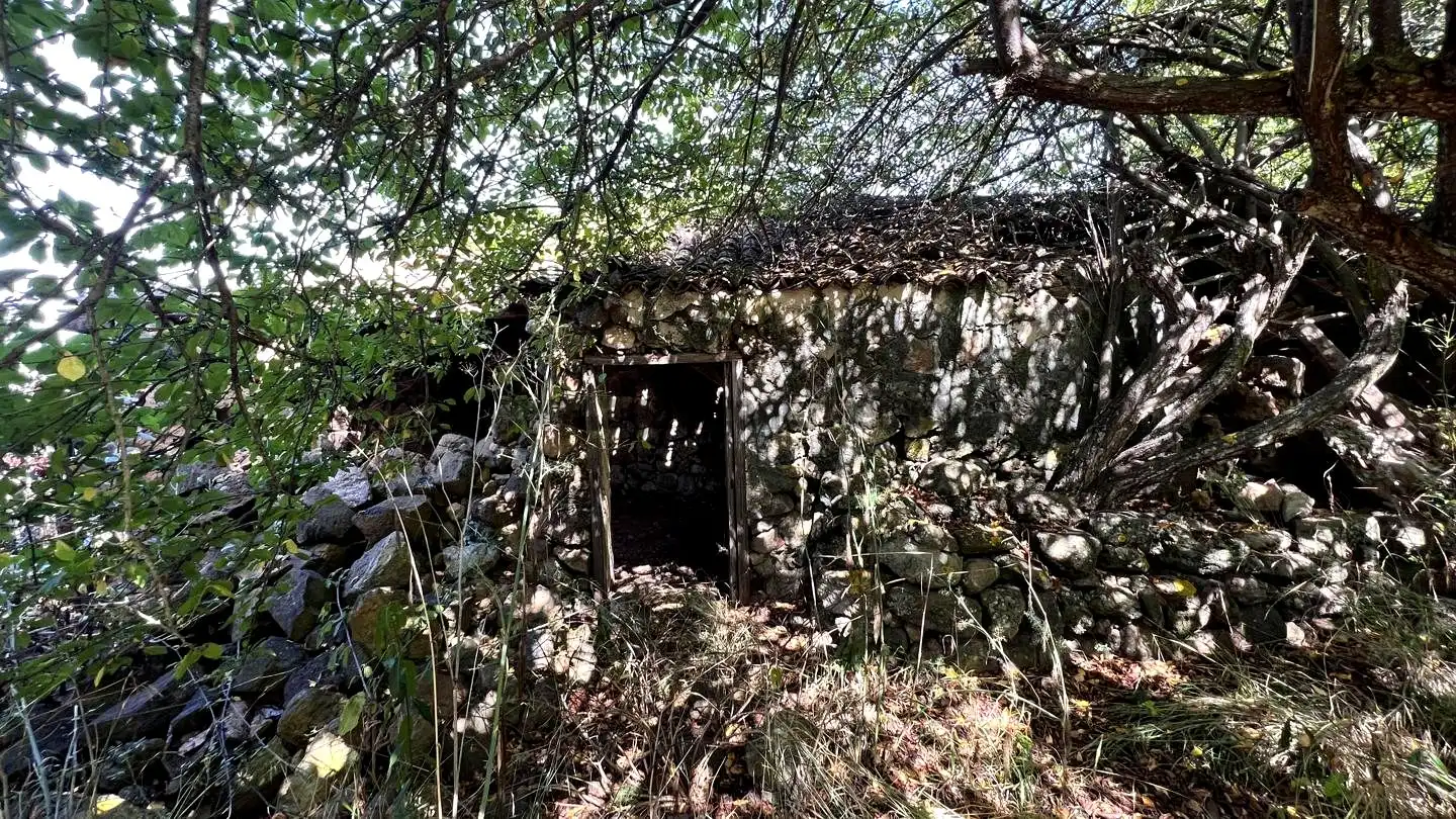 Rural land for sale in La Vega - El Amparo - Cueva del Viento, imagen 5