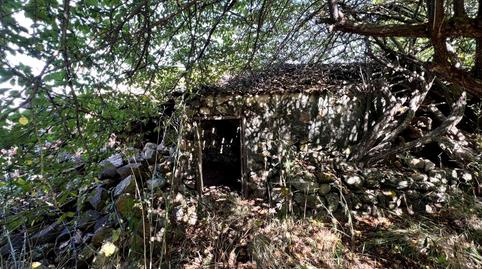 Foto 5 von Country house zum Verkauf in La Vega - El Amparo - Cueva del Viento, Icod de los Vinos