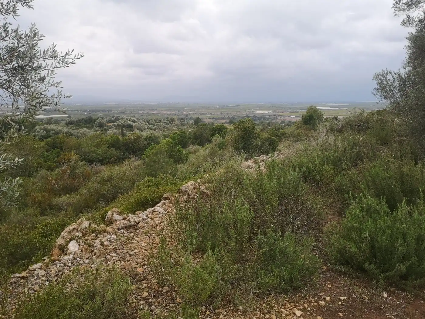 Terreno rustico in vendita a Ulldecona, imagen 10