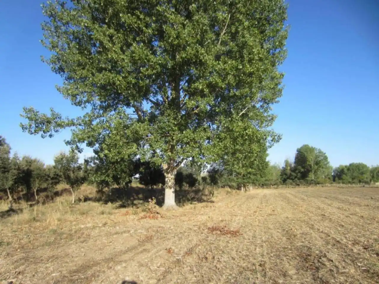 Terreno residencial en venta en Poligono 14, imagen 9
