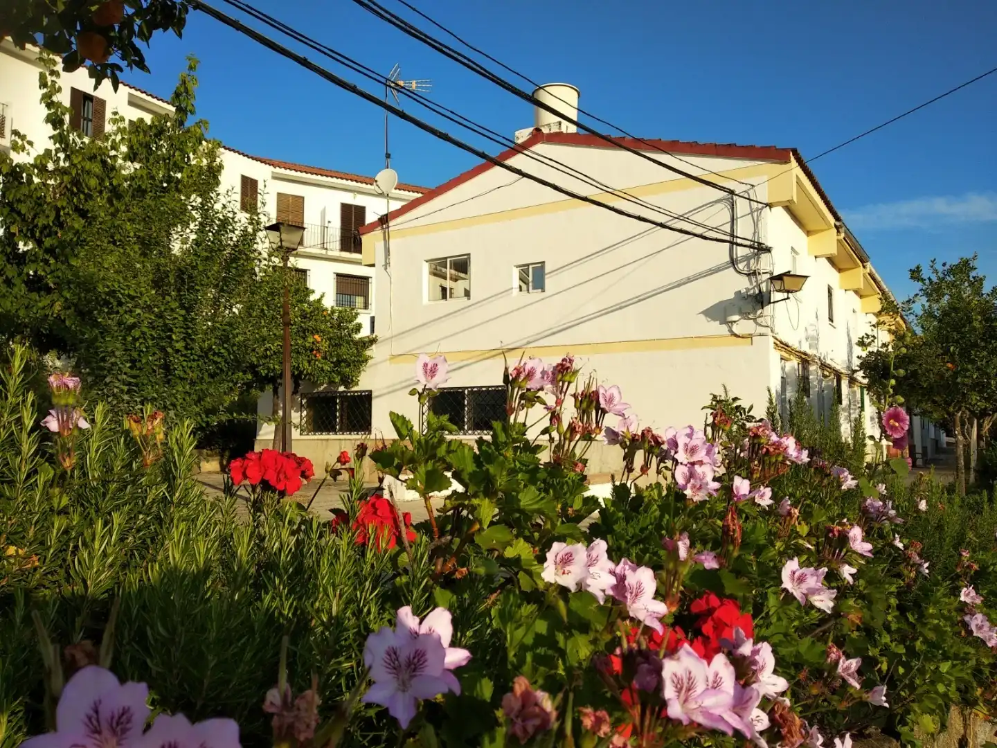 Vista exterior de Casa adosada en venta en Constantina, Sevilla