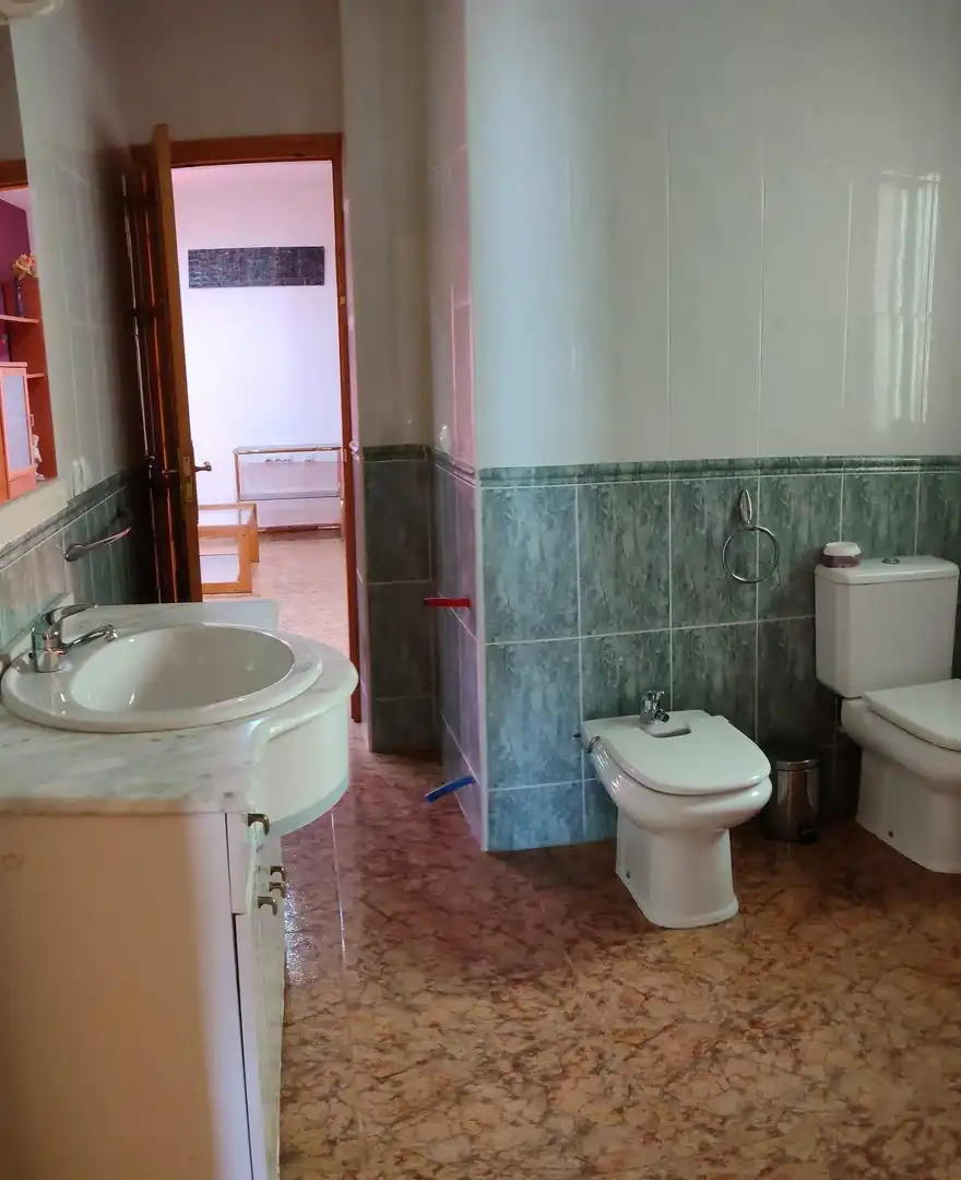 Bathroom of Commercial properties for sale in Lúcar  with Terrace