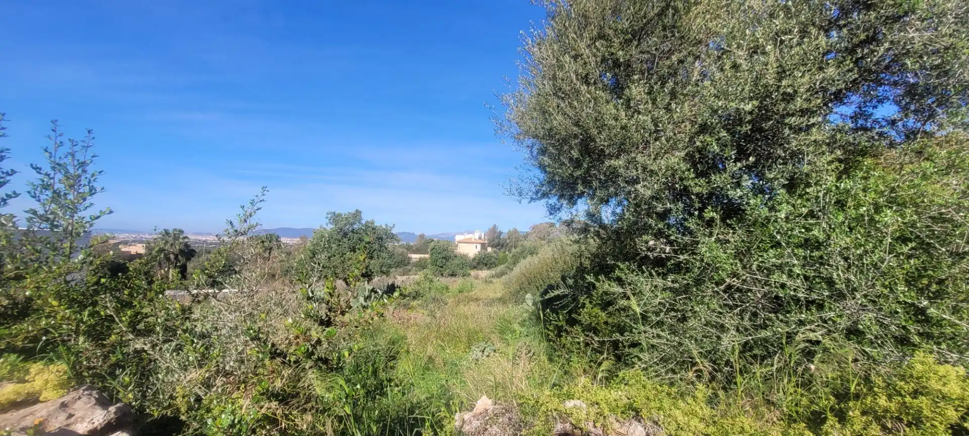 Residencial en venda en Marratxí