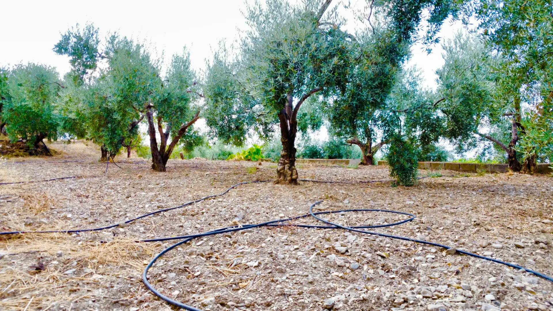 Terreno rustico in vendita a N/A, imagen 39