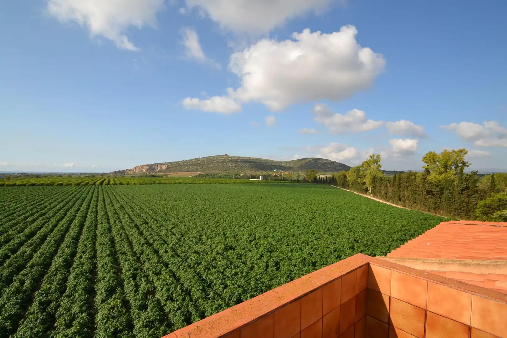 Country house with pool for sale in Partidas de interior - Zona Rústica, imagen 40