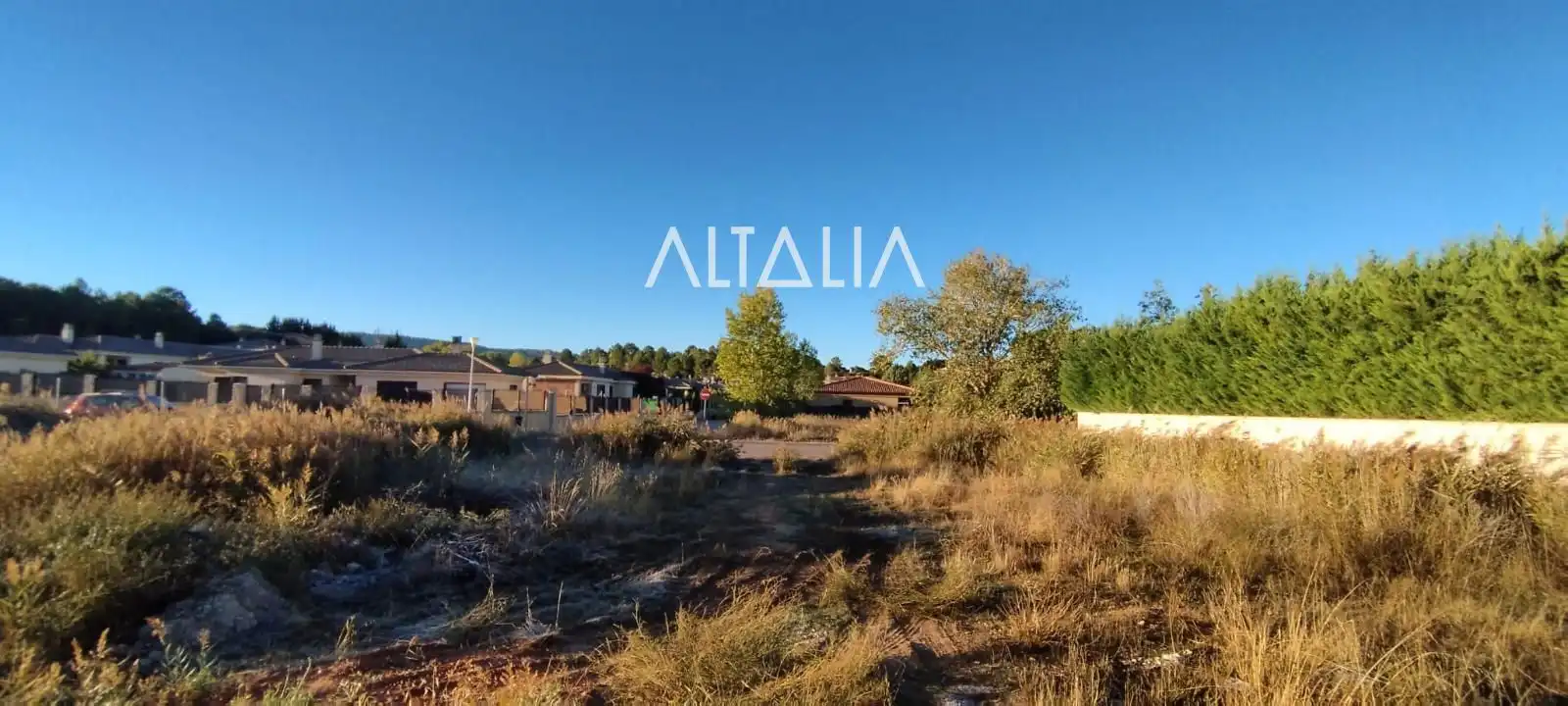 Rural land for sale in CAÑADA MOLINA, imagen 9