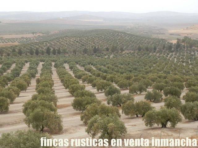 Terreno en Venta en Andújar
