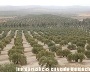 Exterior view of Land for sale in Andújar