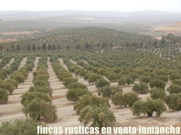 Terreny rústic en venda a Andújar