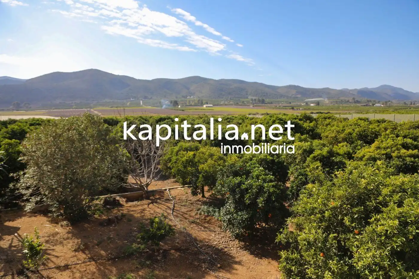House for sale in Montesa, imagen 36