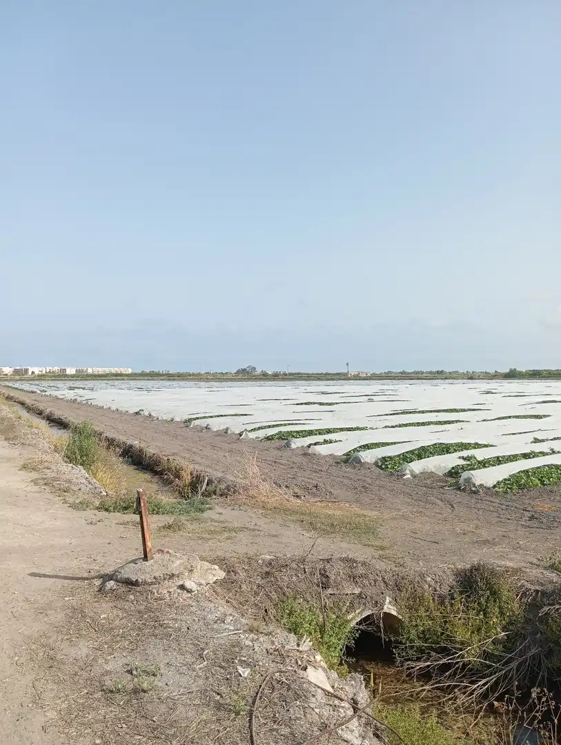 Rural land for sale in N/A, imagen 22