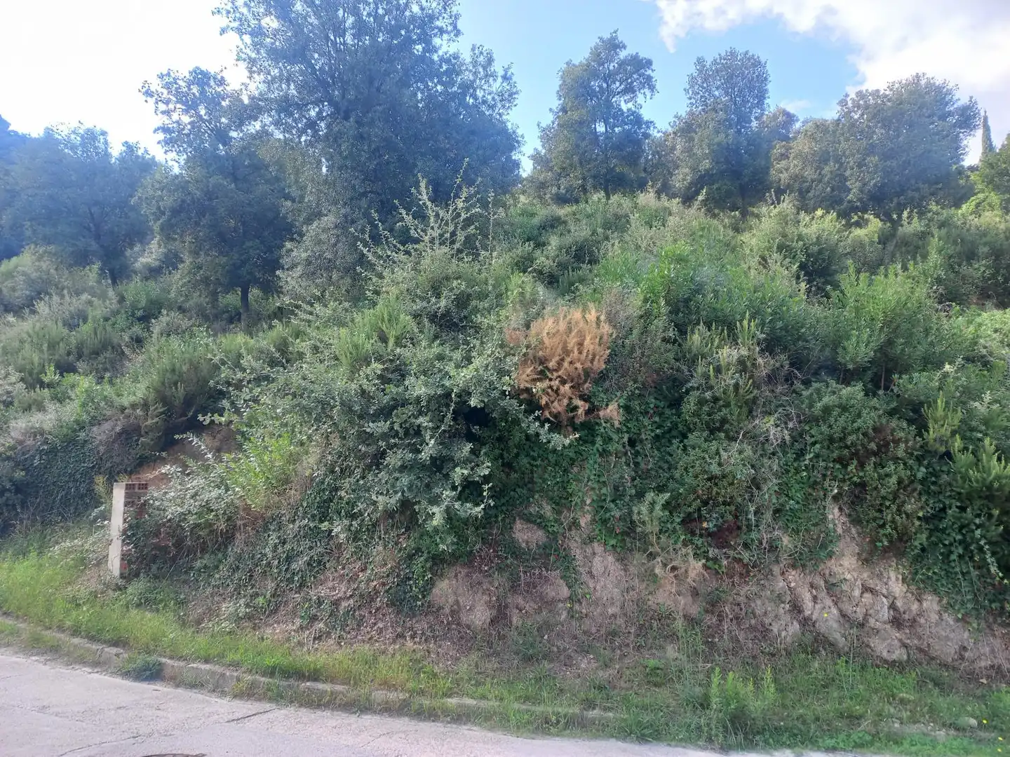 Lands and plots for sale in Bigues i Riells del Fai