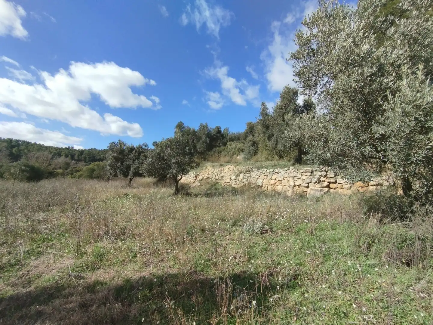 Terreni e lotti in vendita a Lledó, imagen 3