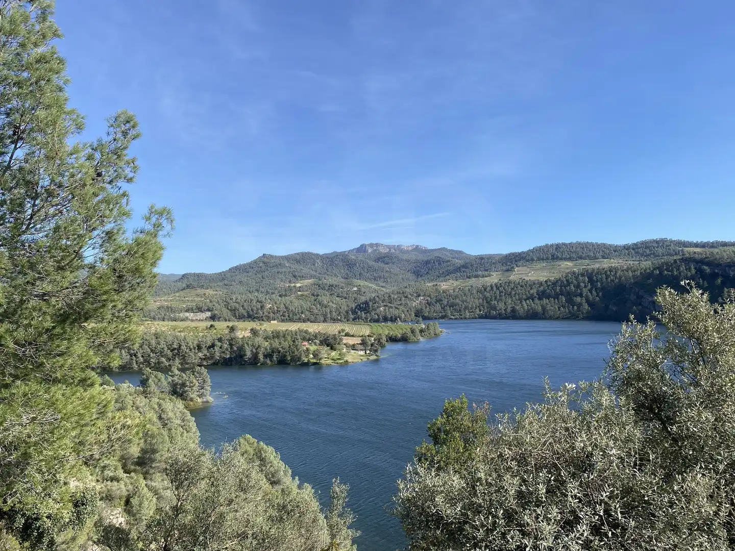 Residential land for sale in Els Guiamets, imagen 24