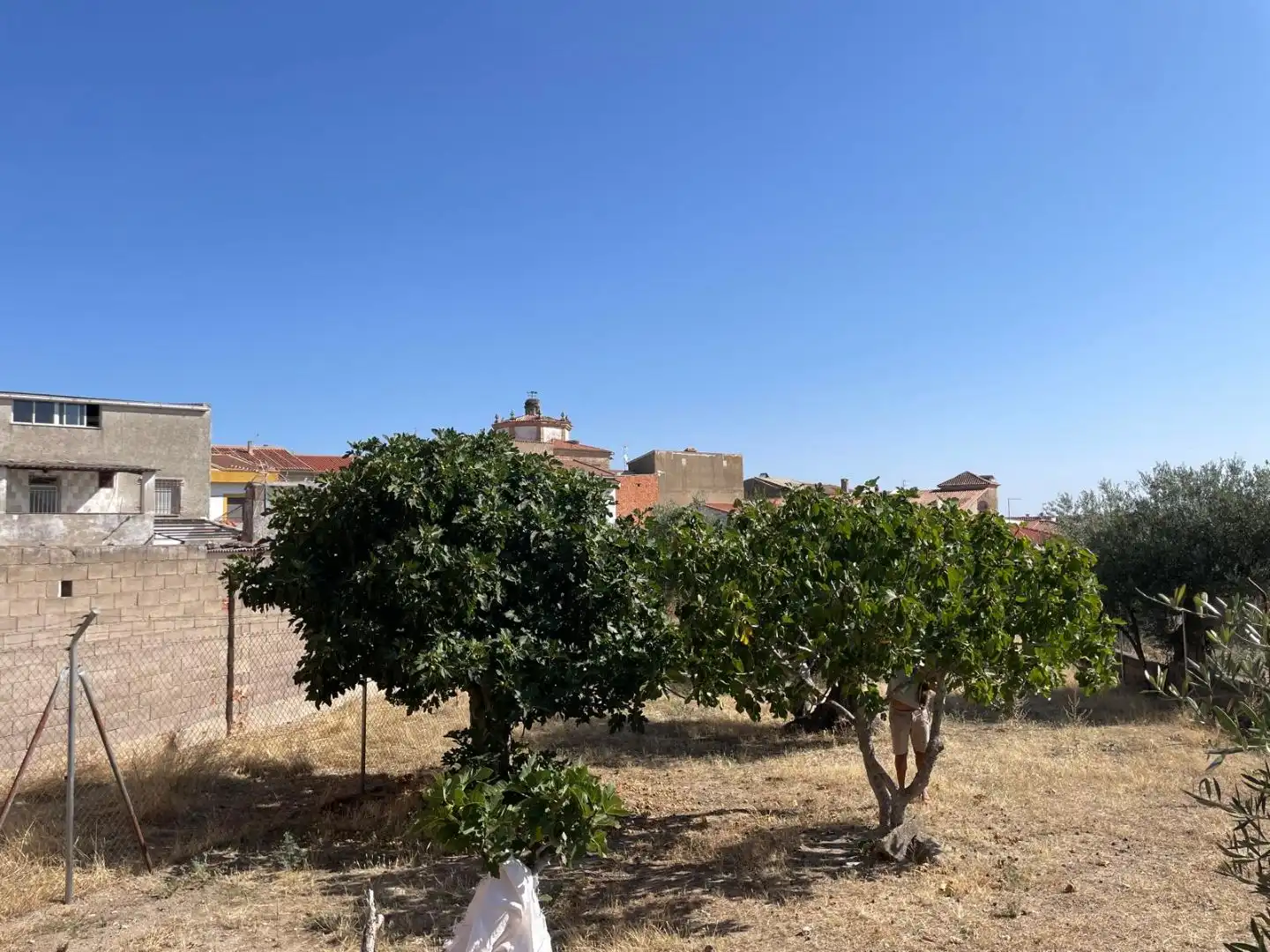 Terreno en venta en Valdefuentes