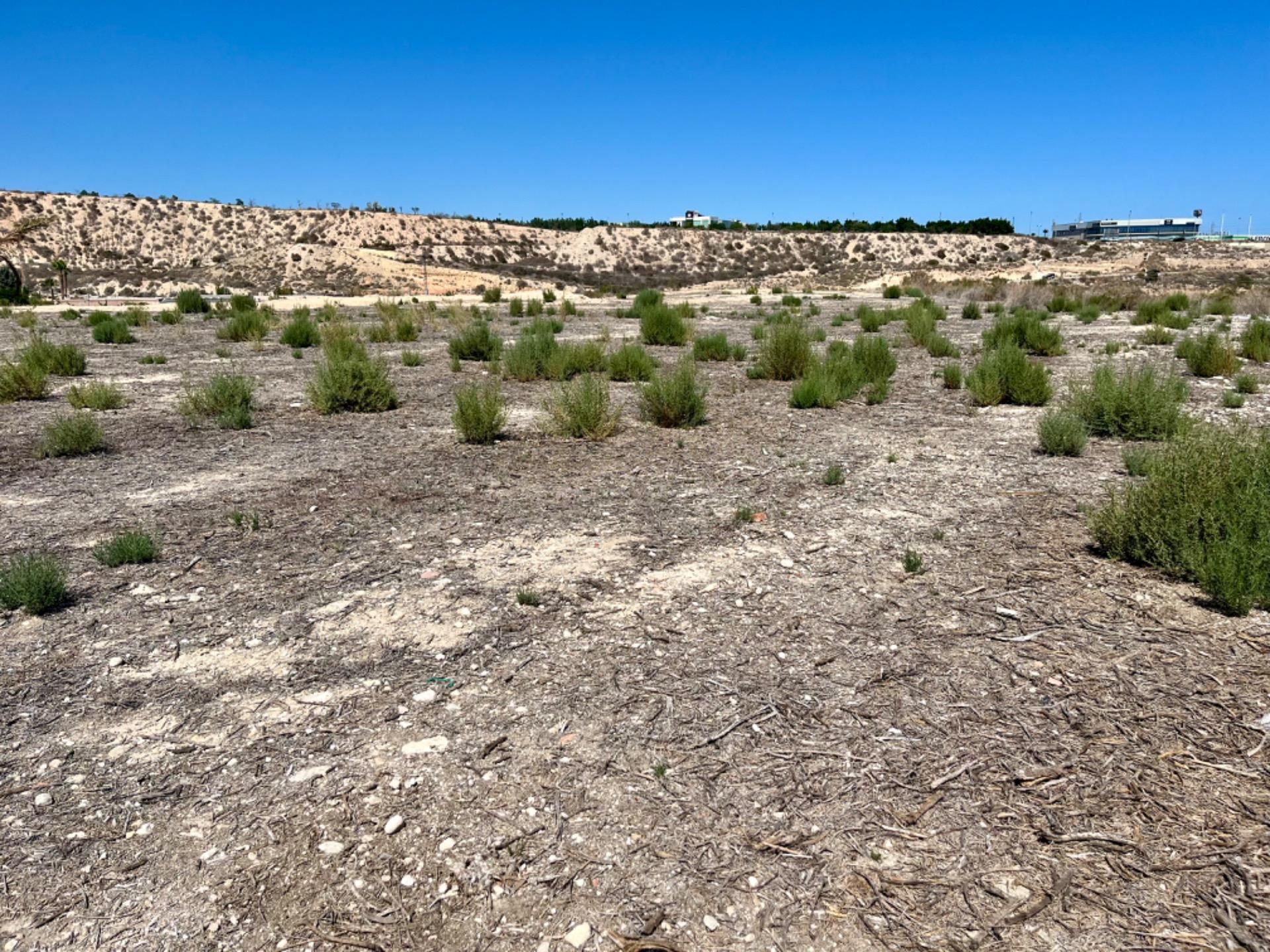 Residencial en venda en Elche / Elx