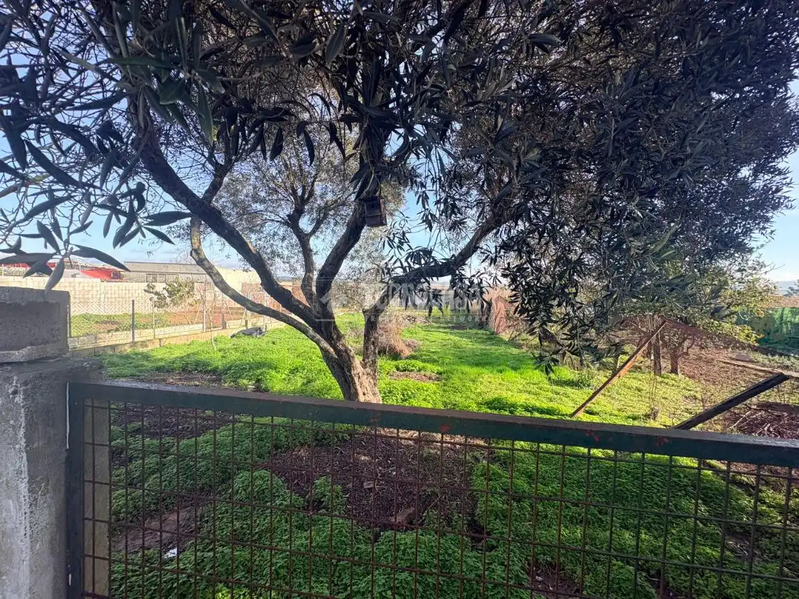 Jardín de Finca rústica en venta en Barbate