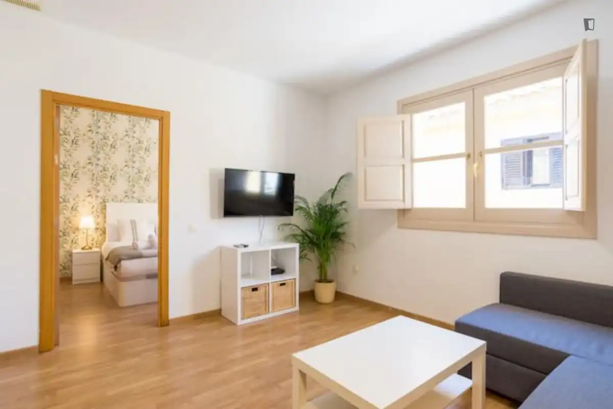 Apartment mit Aufzug zur Miete in Centro, imagen 4