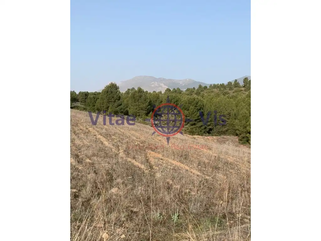 Residential land for sale in Travesia Fuensanta 01, imagen 5