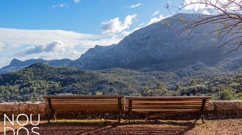 Finca mallorquina en Pollensa con vistas al mar y a la Sierra., imatge 5