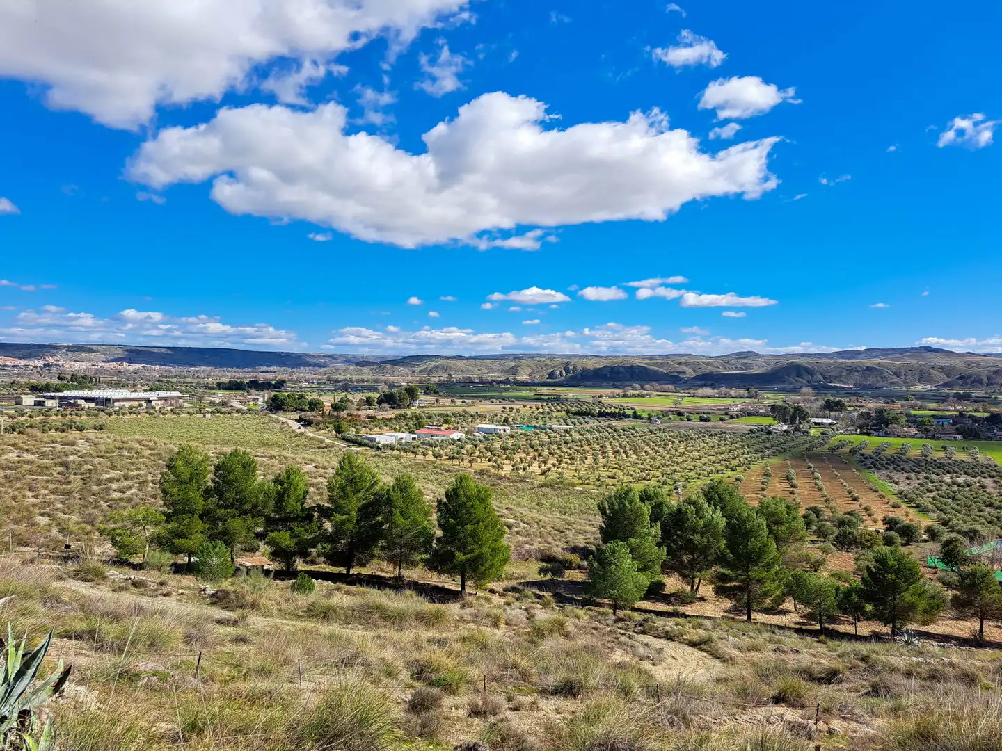 Vista exterior de Casa o xalet en venda en Chinchón amb Calefacció, Jardí privat i Terrassa