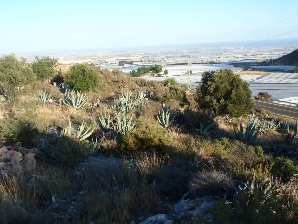 Finca rústica en venta en Dalías