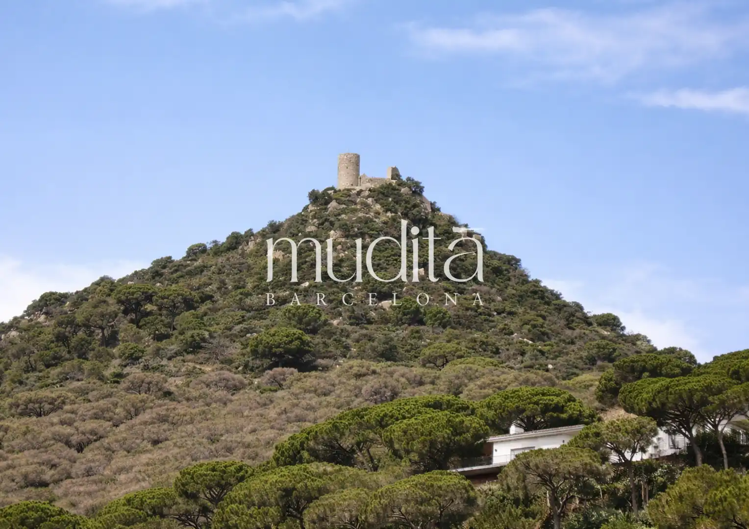 Houses for sale in Argentona  with Heating, Private garden and Terrace