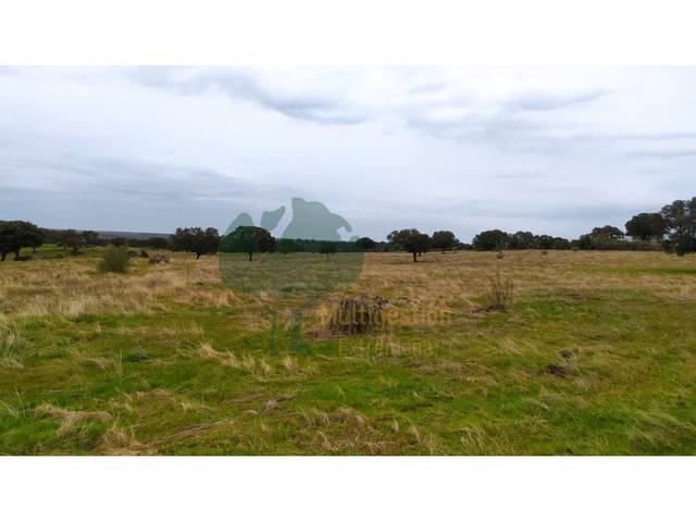 Finca rústica en Venta en Calle Eustasio Martin, 1 en Aliseda