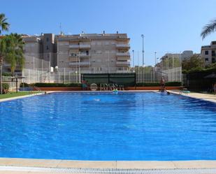 Schwimmbecken von Wohnungen miete in Canet d'En Berenguer mit Klimaanlage und Terrasse