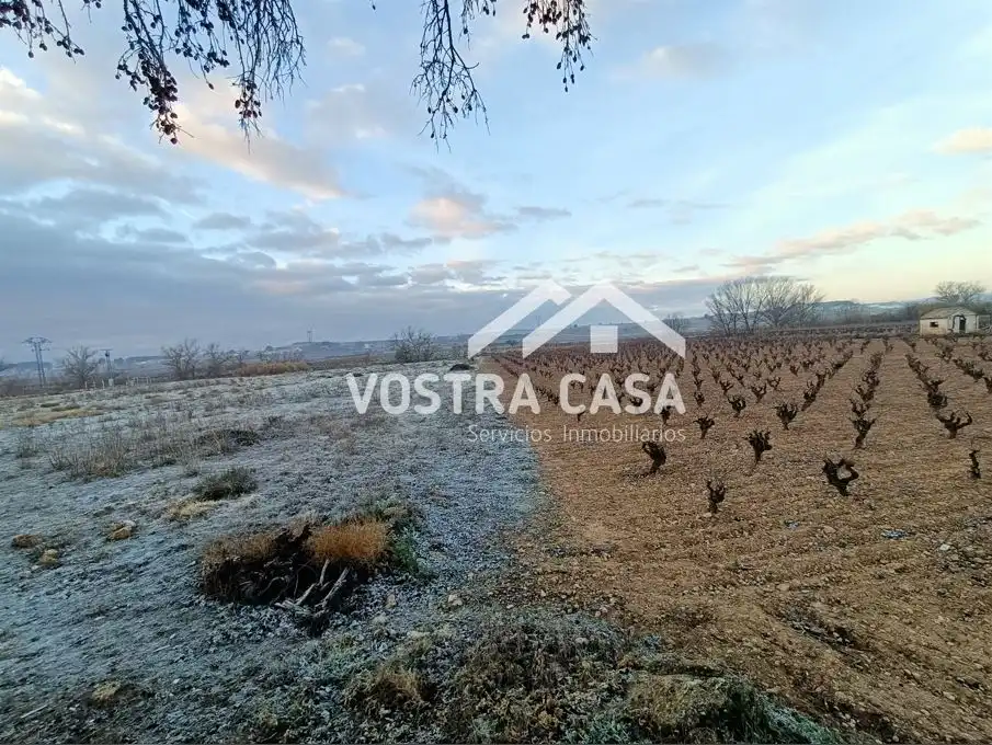Rustikales Grundstück zum Verkauf in FLORES, imagen 3