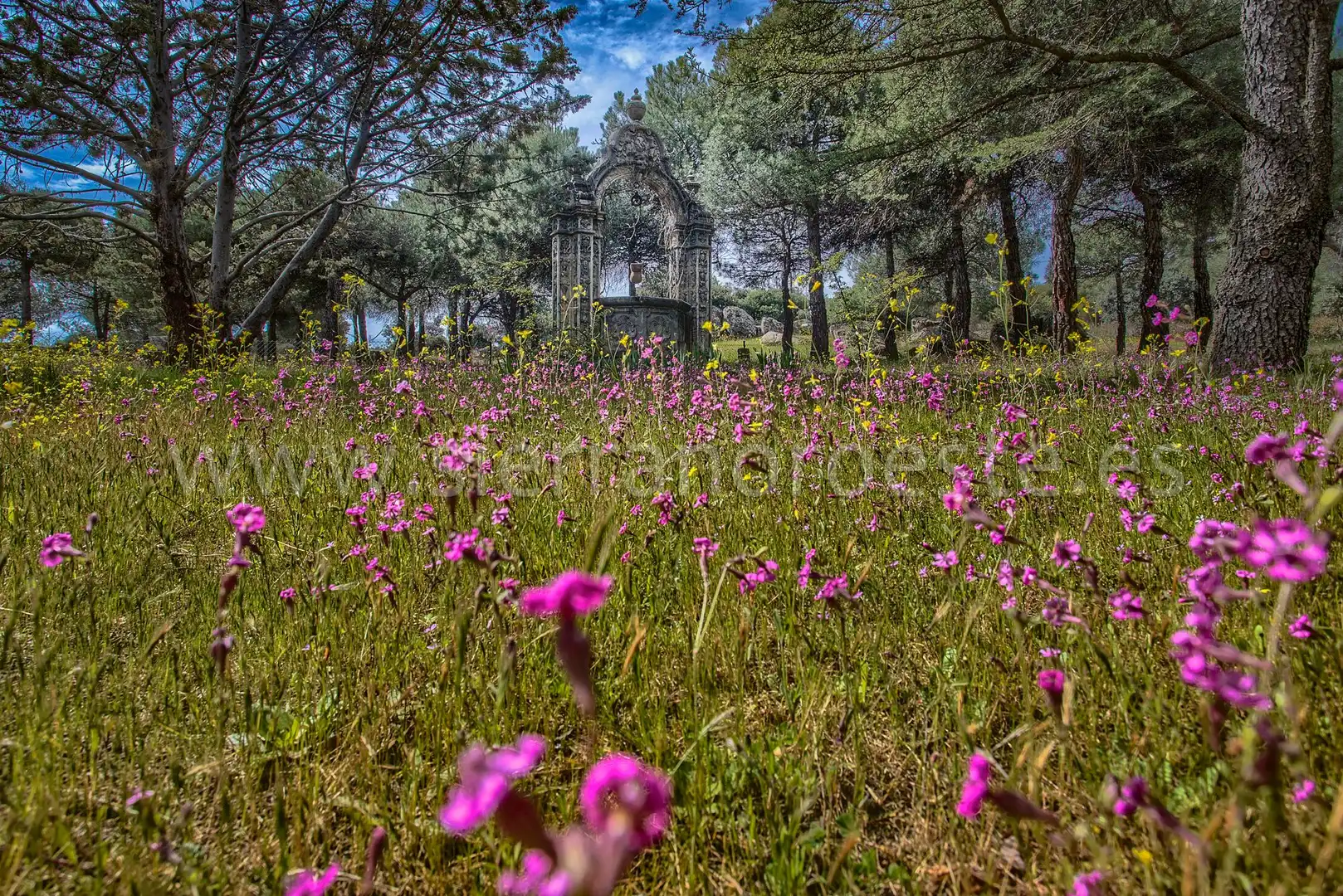 Casa o chalet en venta en Puerto de Galapagar - Las Cuestas