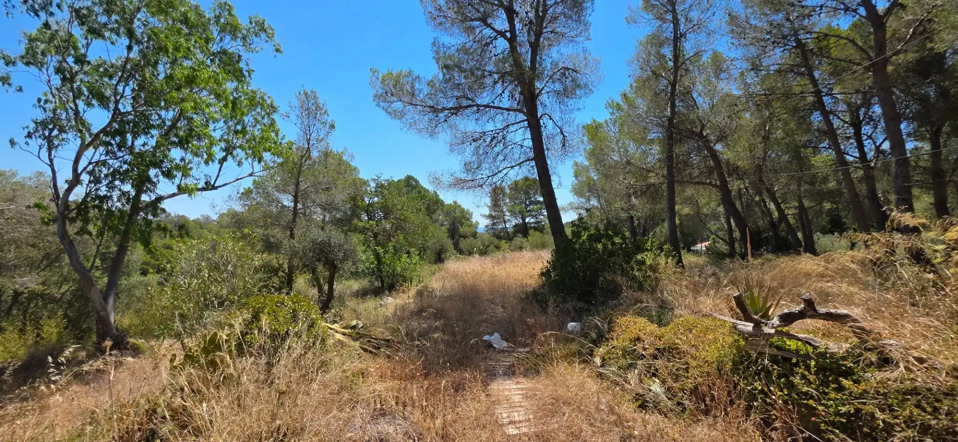 Finca rústica en venta en Vilanova d'Escornalbou con Terraza
