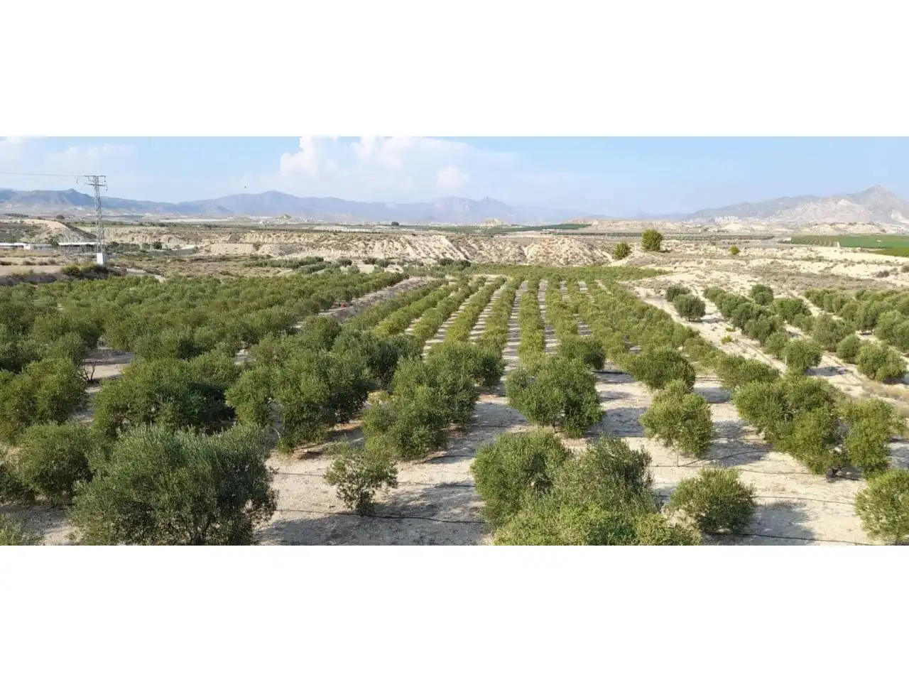 Rural land for sale in Calle MAYOR, imagen 7
