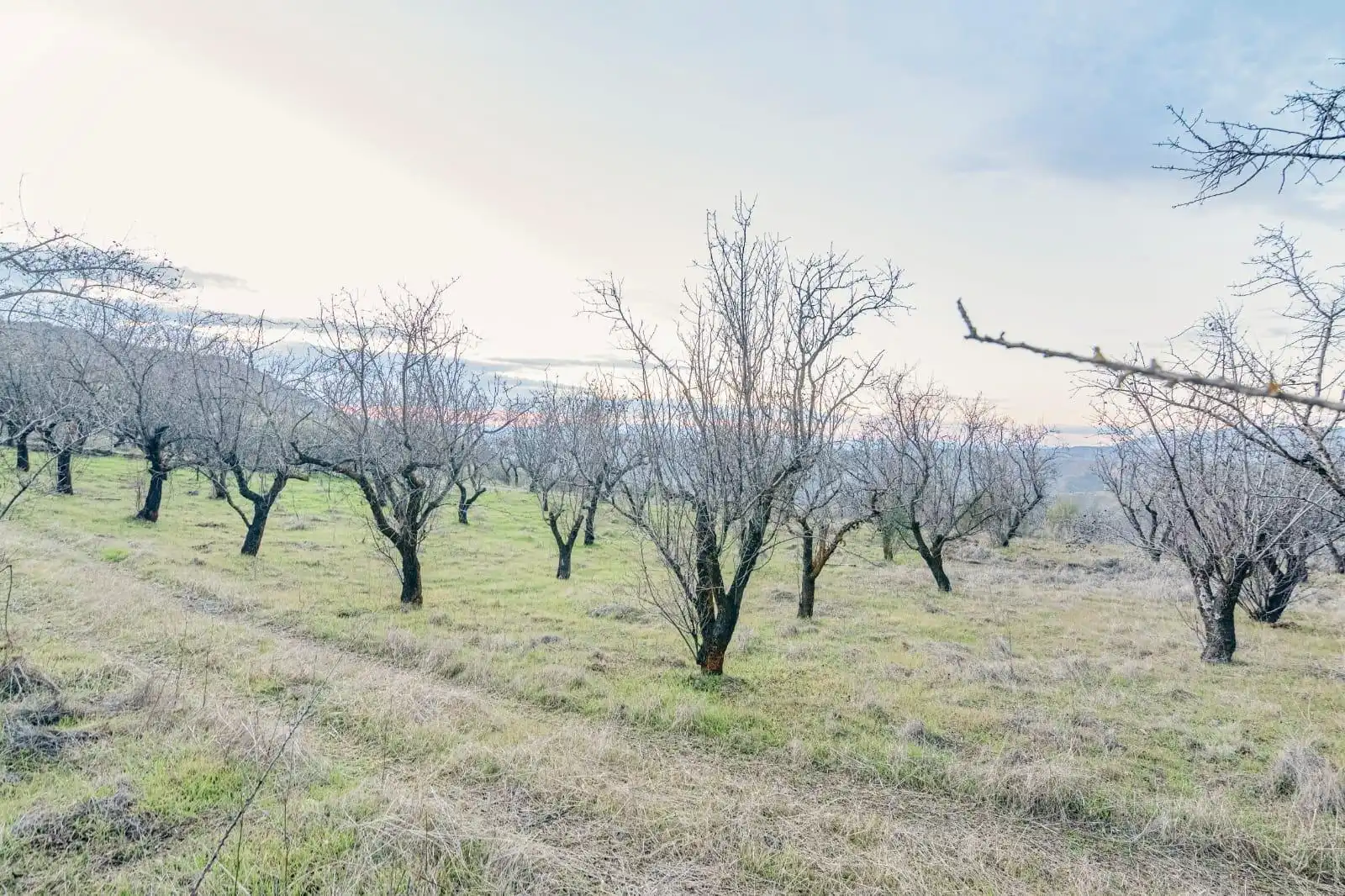 Lands and plots for sale in Autovia Pinos Genil, imagen 24