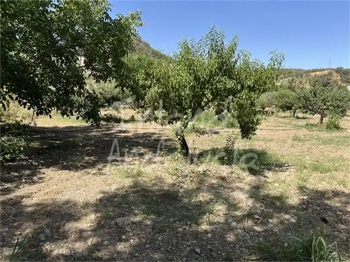 Detached house with pool for sale in Alcaudete, imagen 16