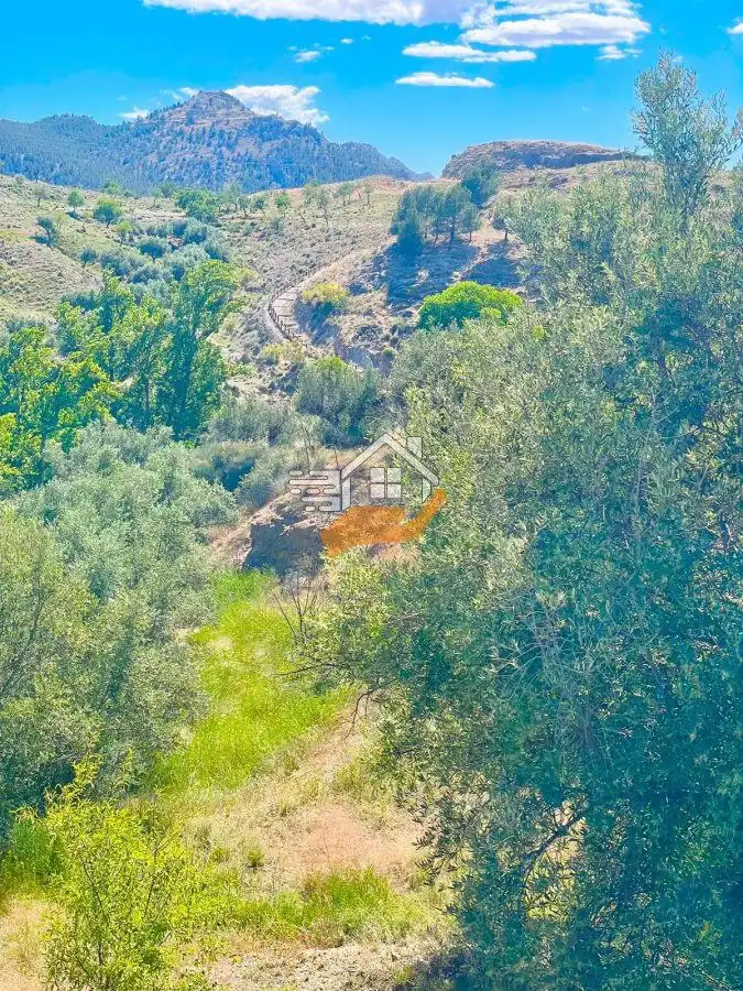 Casa rústica en venda a Vélez-Rubio, imagen 25
