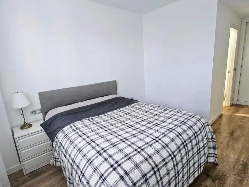 Flat with pool to rent in Avenida Dolores Rodríguez de Aragón 6, imagen 10